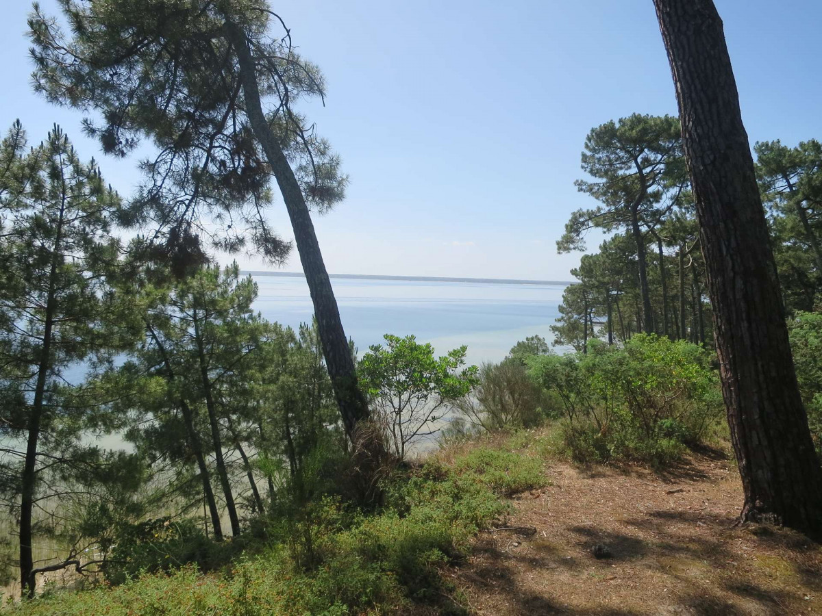 _clients_024060005_photos_912n_9861885