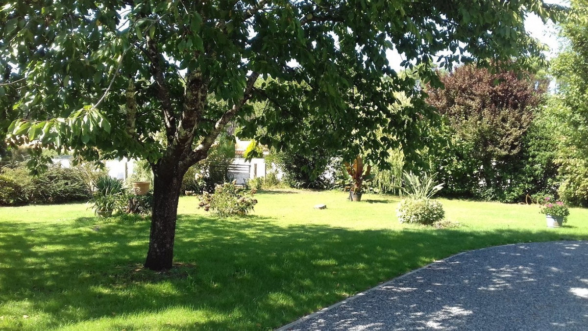 _clients_024060005_photos_920h_10018247