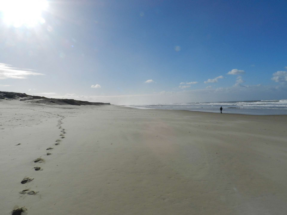 _clients_024060005_photos_996j_9494998