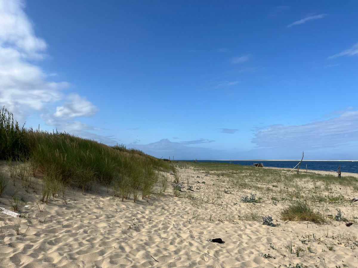 balade-decouverte-archeologique-dune-pilat-7883872