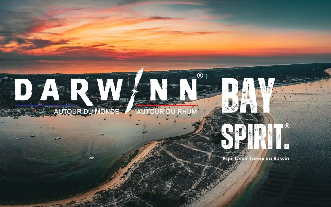 darwinn-13-8787613