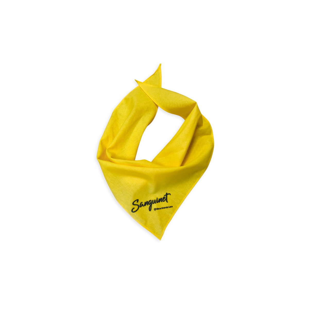 foulard-jaune-9925359