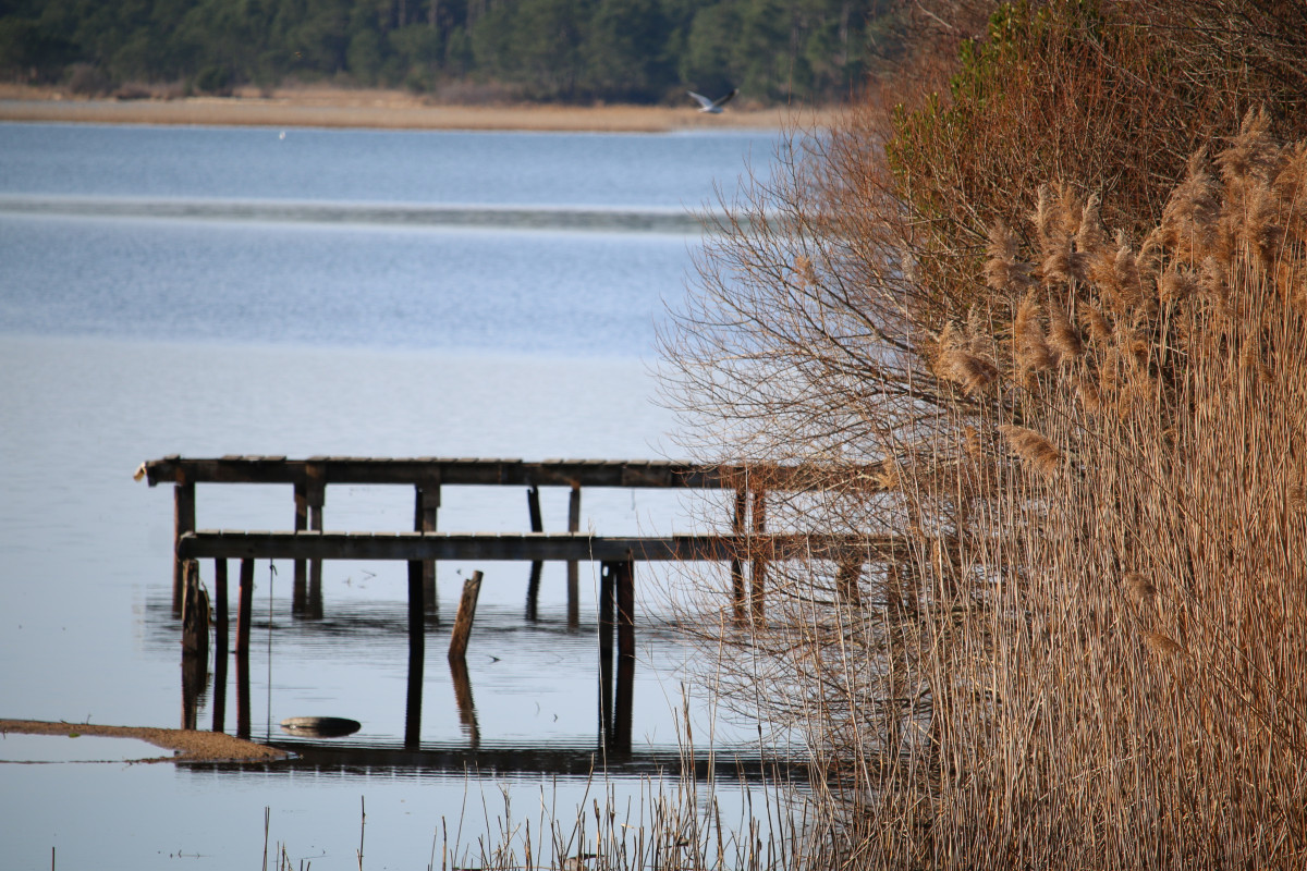 lac-sanguinet-2