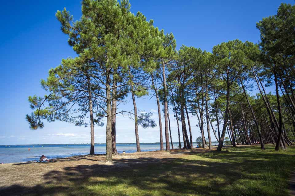 location-vacances-parentis-en-born location-vacances-parentis-en-born