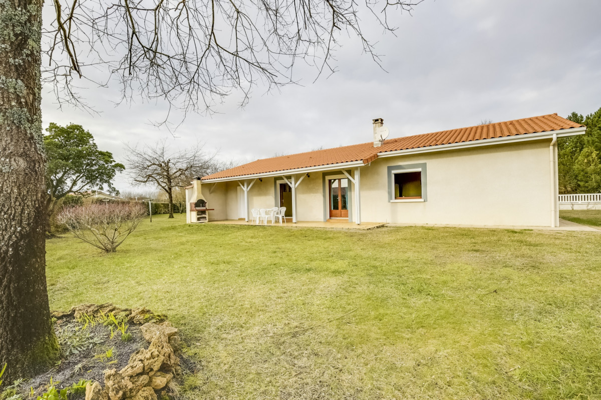 photo-21608998-014 photo-21608998-014