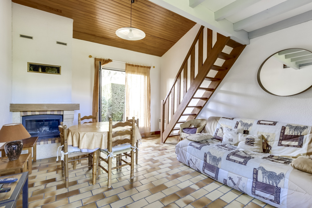 photo-62135749-019-photo-62135749-021