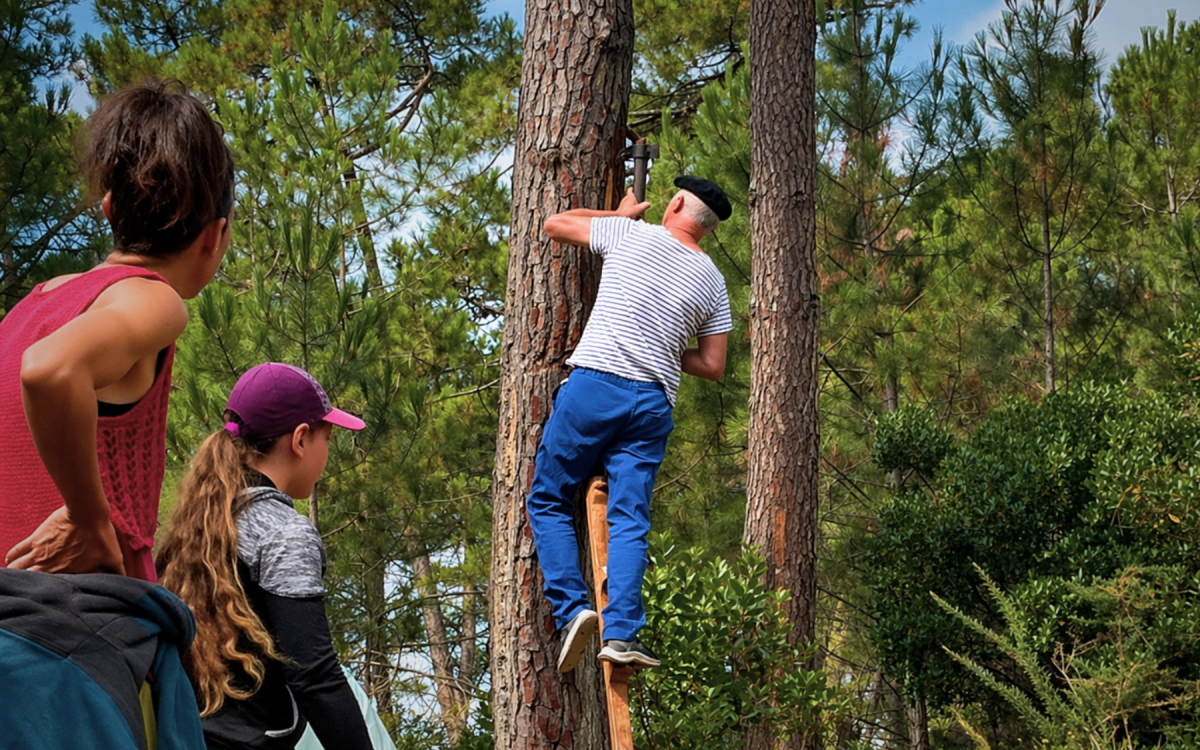 photo-activit-2-9970556