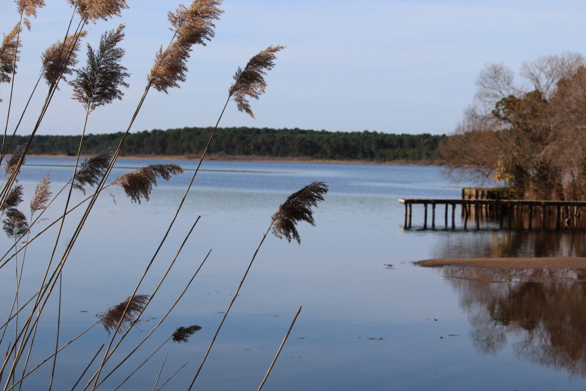 sanguinet-lac