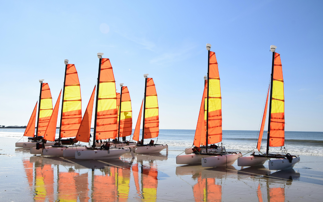 stage-catamaran-9690244