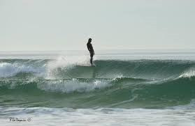 surfeur