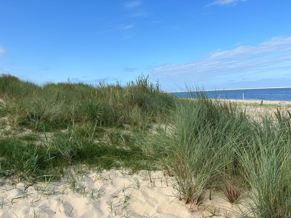 visite-decouverte-archeologique-dune-du-pilat-7883873