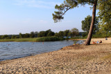 0IMG_5864bis