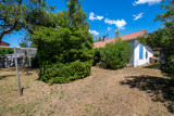 11-jardin
