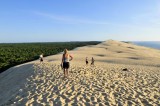 Dune Pilat