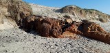 Plage 02