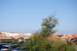 SAM_0927
