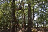 dsc0041-10231917