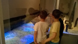 enfants-pirogues-4987417