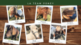 la-team-poney-3807936