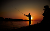 photo-activit-2-10018414