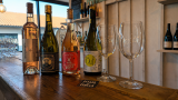 Pinard Circus - dégustation de vins