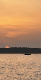 pinasse-papillon-lac-gastes-landes