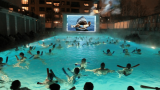 requin-8703055