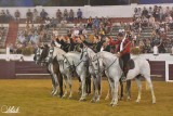 spectacle-chevaux-passion-parentis-3225925