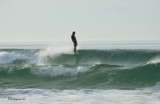 surfeur
