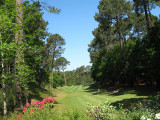 ugolf-bbiscarosse-3