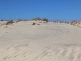 vue sur la dune