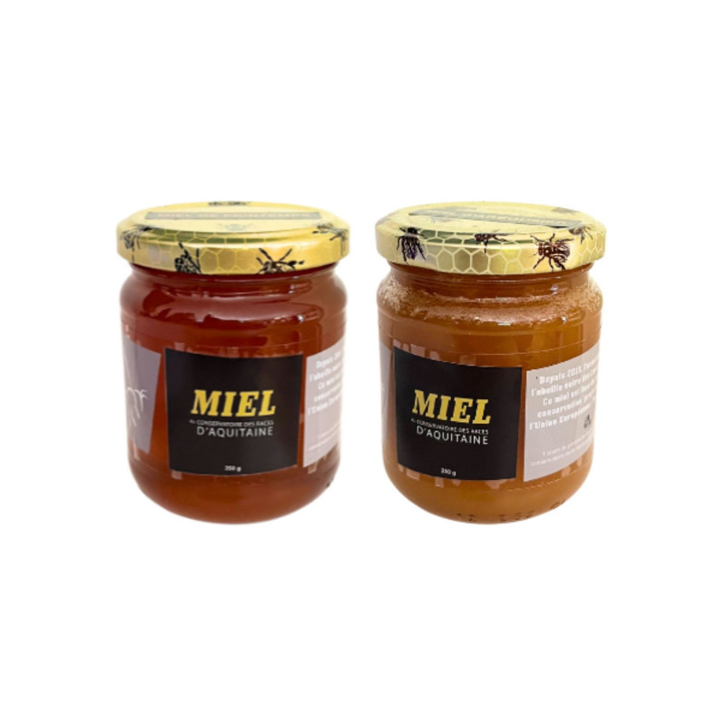 miel abeilles noire des Landes