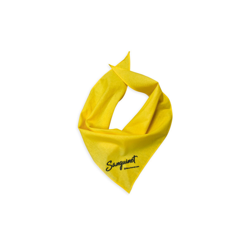 foulard-jaune-9925359