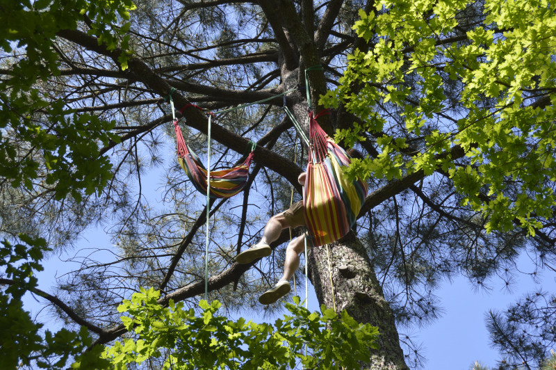 grimpe-d-arbre-3-10126048