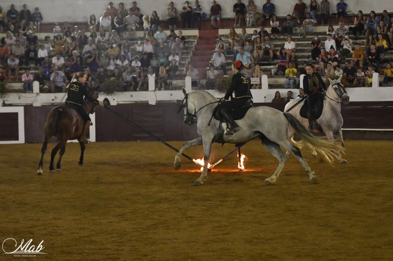 spectacle-chevaux-passion-parentis-arenes-3225924