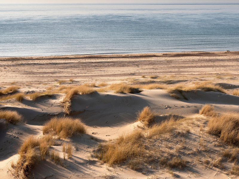 Photo De Paléosols Rouges Randonnée pédestre, la Plage et ses Paléosols